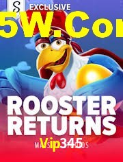 Responsive Design Vip345